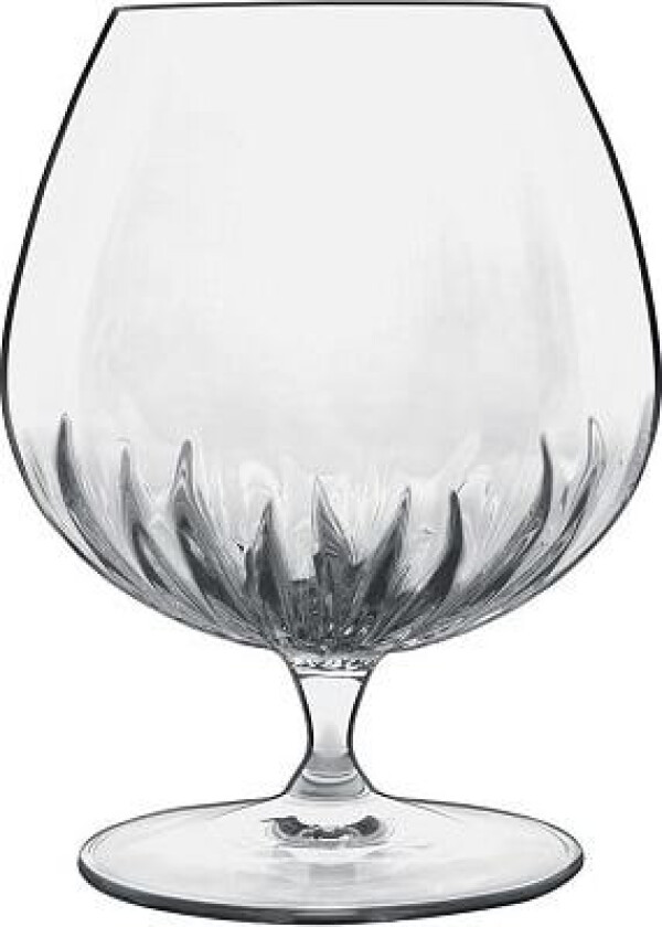 Mixology Cognacglass Klar - 46,5 Cl