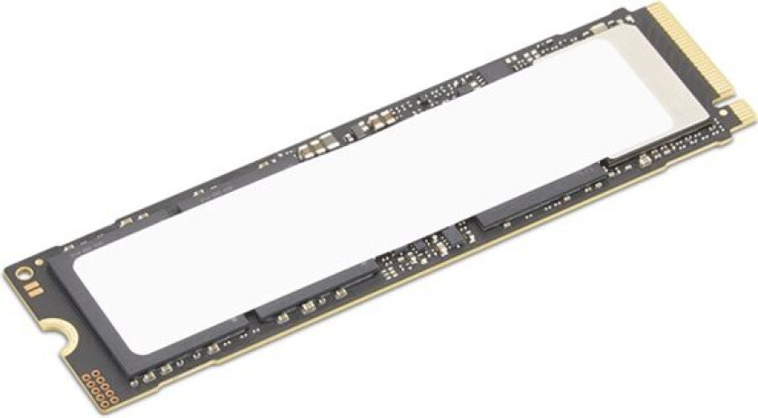 SSD - kryptert - 512 GB - ytelse - intern - M.2 2280 - PCI Express 5.0 x4 (NVMe) - TCG Opal Encryption 2.0 - CRU - for ThinkPad X1 2-in-1 Gen 10 X13 Gen 6 ThinkStation P3 Gen 2 P3 Tiny Gen 2