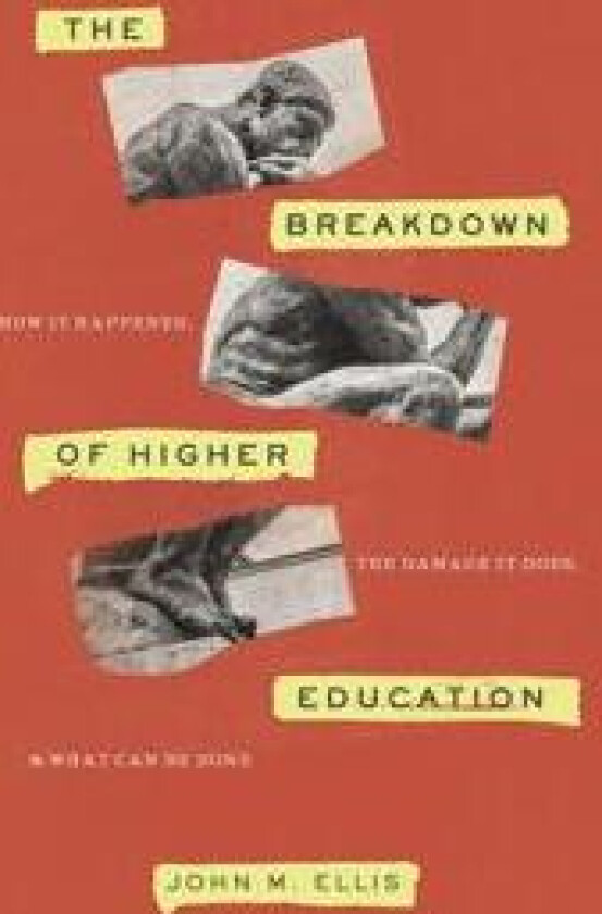 The Breakdown of Higher Education