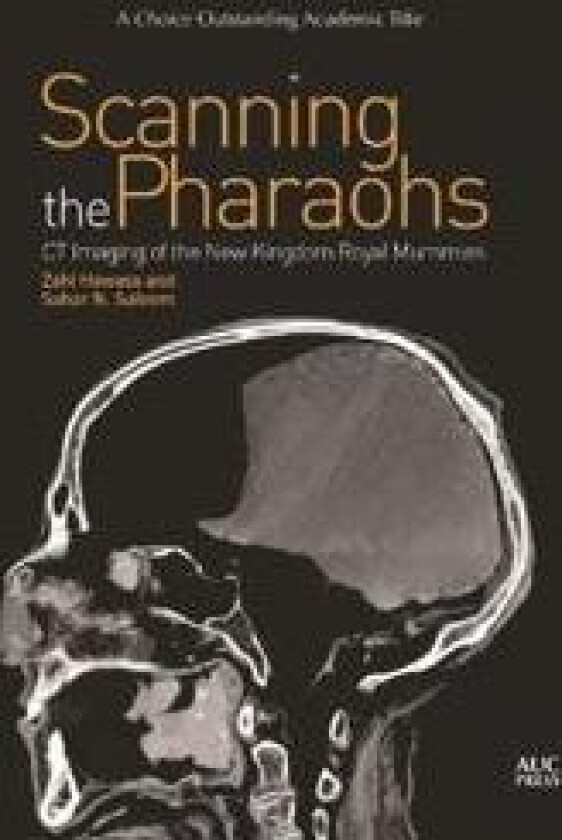Scanning the Pharaohs