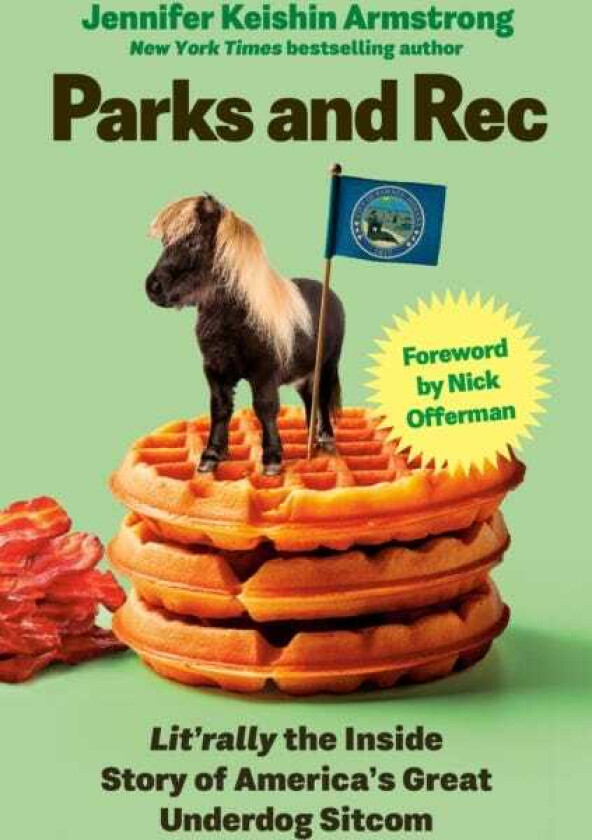 Parks and Rec Lit'rally the Inside Story of America’s Great Underdog Sitcom