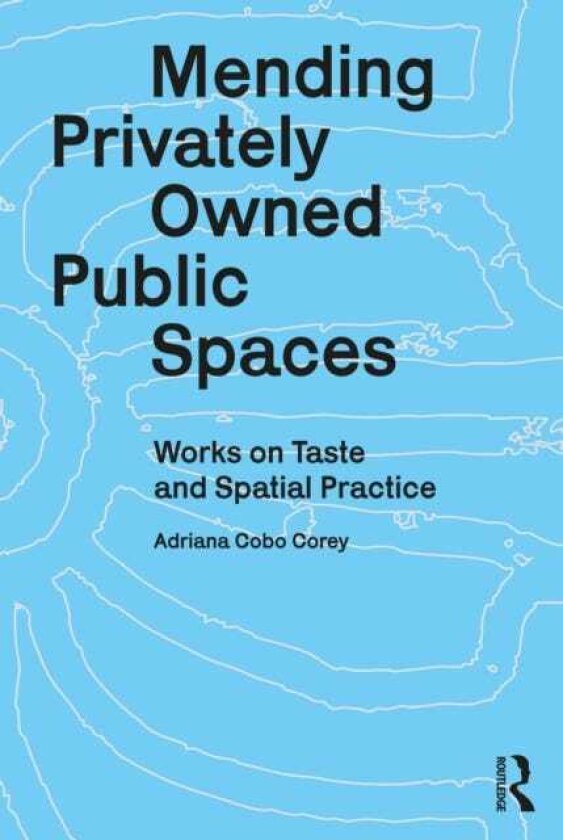 Mending Privately Owned Public Spaces Works on Taste and Spatial Practice