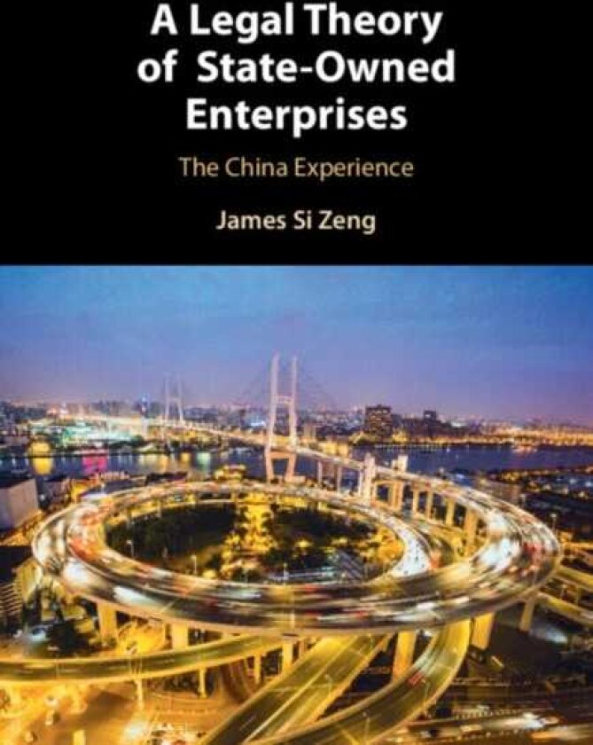 A Legal Theory of StateOwned Enterprises The China Experience