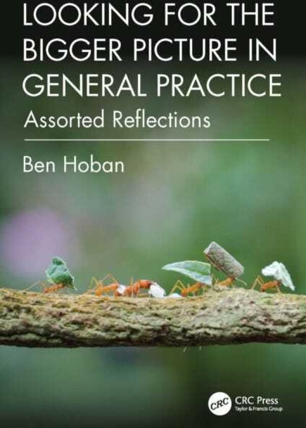 Looking for the Bigger Picture in General Practice Assorted Reflections