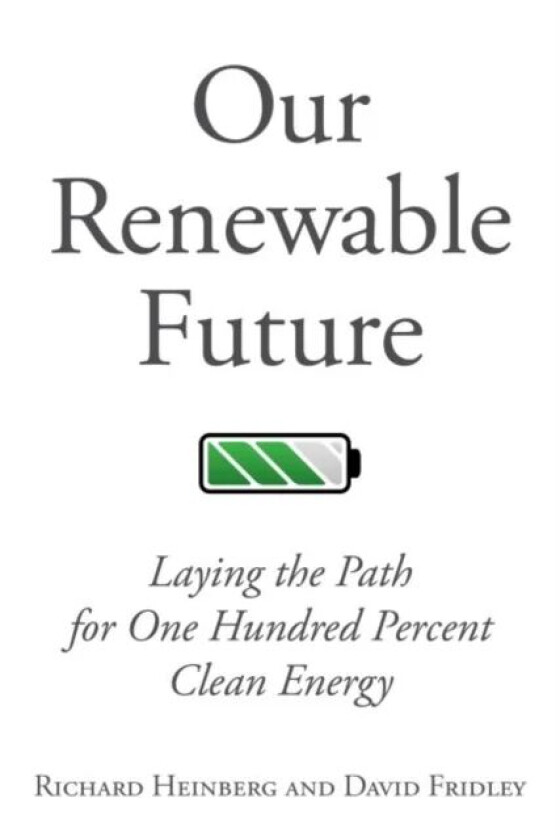 Our Renewable Future av Richard Heinberg, David Fridley