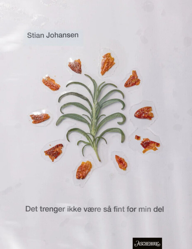 Det trenger ikke være så fint for min del av Stian Johansen