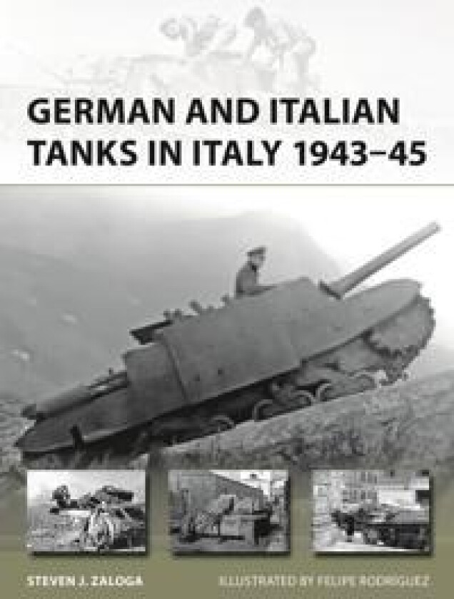 German and Italian Tanks in Italy 1943–45