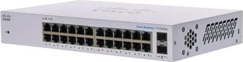 Cbs110 24-port Switch