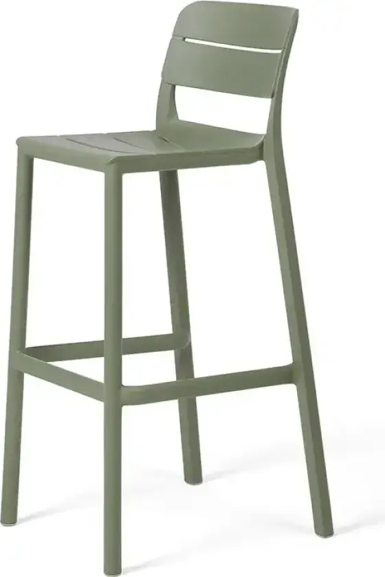 Cassia barstol Cactus