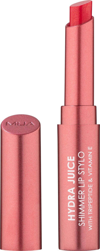 Hydra Juice Shimmer Lip Stylo Raspberry Jam