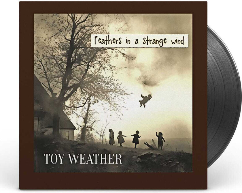 Toy Weather Feathers In A Strange Wind LP/Vinyl