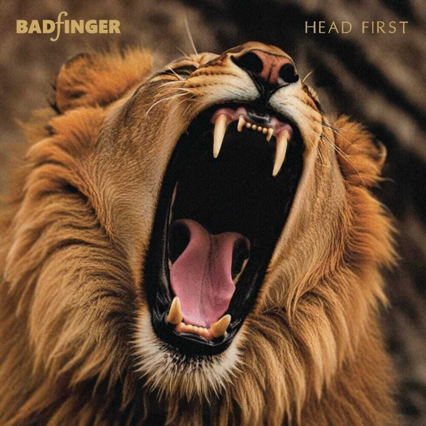 Head First: 50th Anniversary Special Edition CD