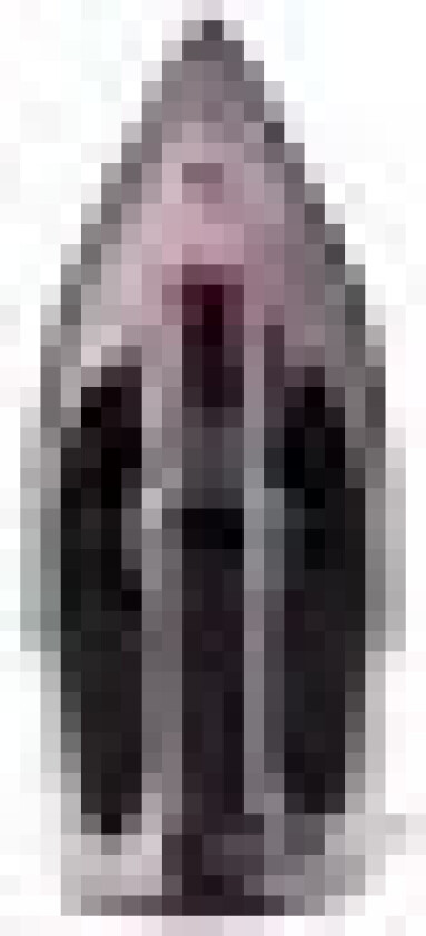 Singer strykejern SINGER SteamCraft 2600 W dampstrykejern rosa-grå