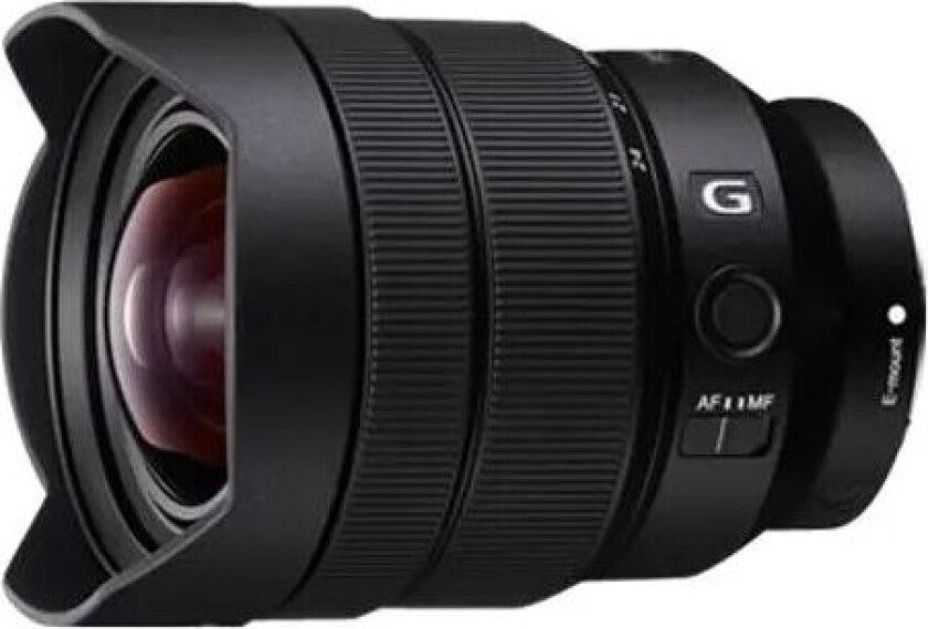 Sel1224g E-mount