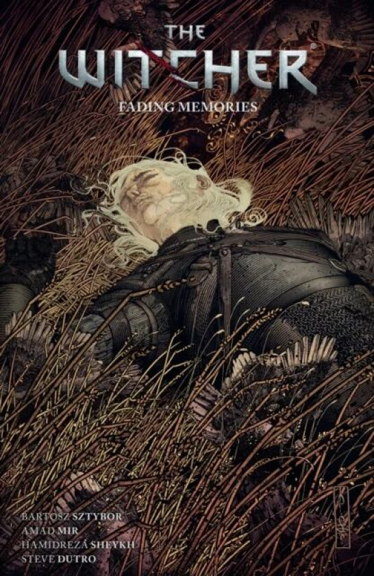 The Witcher Volume 5: Fading Memories av Bartosz Sztybor