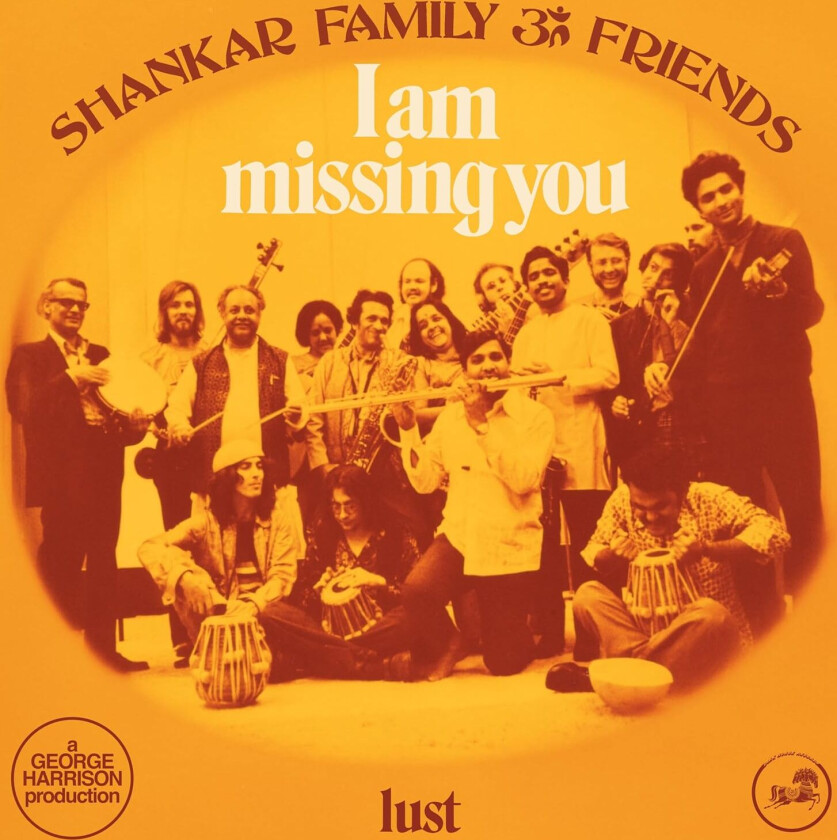 I Am Missing You LP/Vinyl