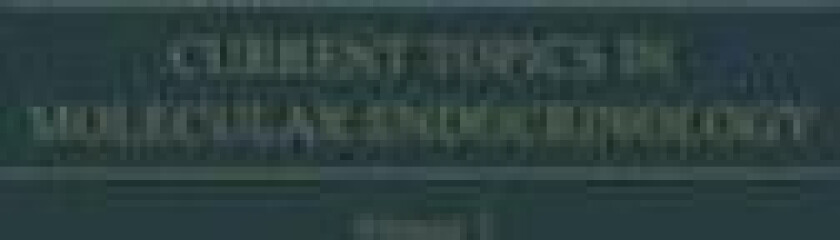 Hypothalamus and Endocrine Functions