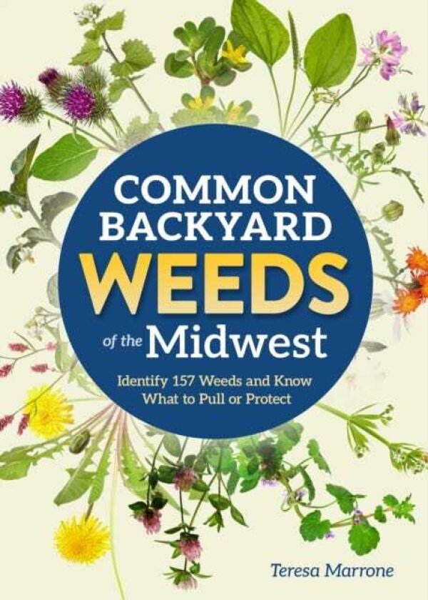 Common Backyard Weeds of the Midwest Identify 157 Weeds and Know What to Pull or Protect