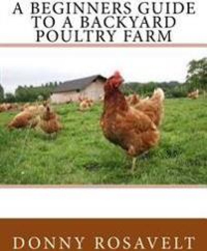 A Beginners Guide to a Backyard Poultry Farm