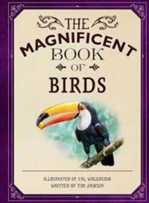 The Magnificent Book of Birds