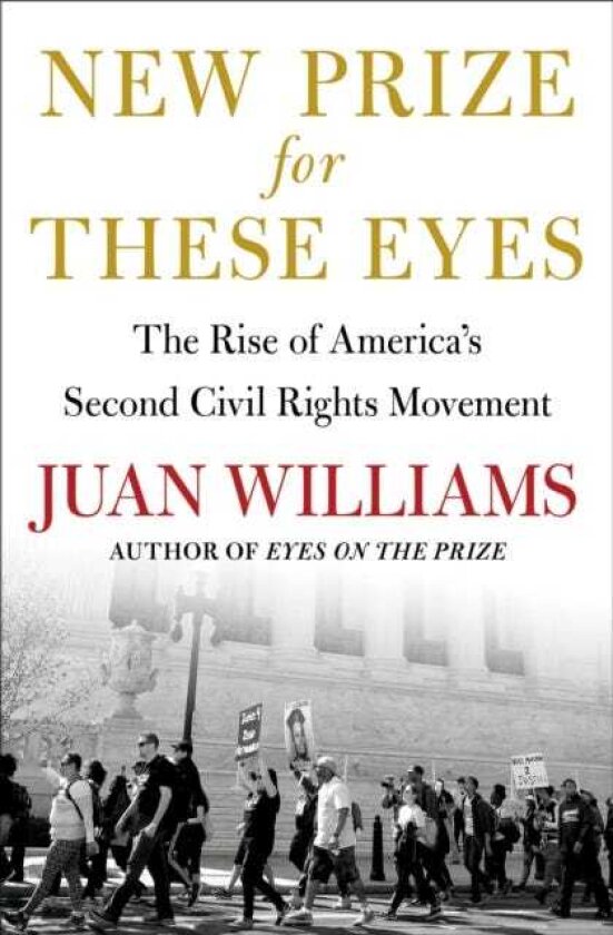New Prize for These Eyes The Rise of America's Second Civil Rights Movement