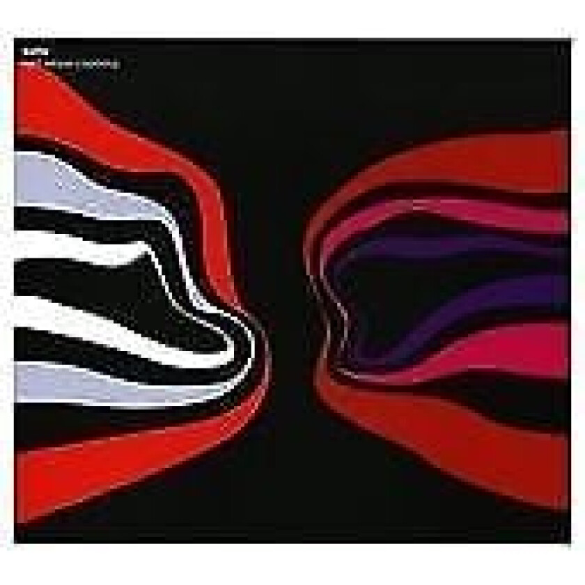 Puma : Half Nelson Courtship CD (2010)