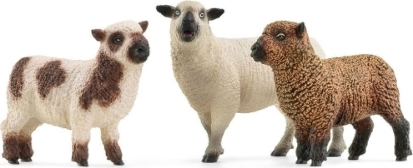 Sheep Friends