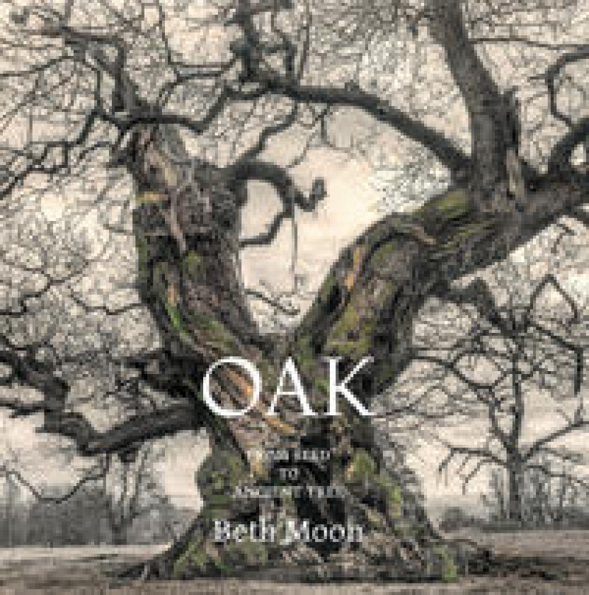Oak - Moon, Beth