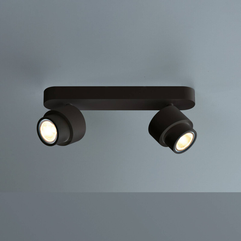 LED-spot BRUSH, svart, 30 cm, 2 lyskilder, metall, dimbar, 2.700 K