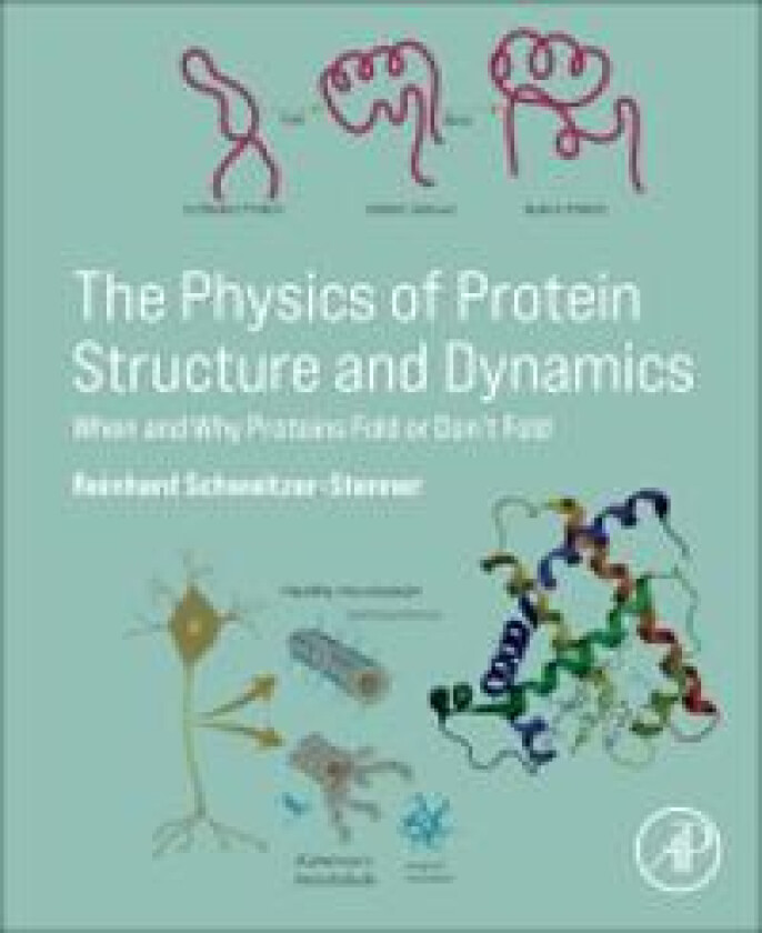 The Physics of Protein Structure and Dynamics