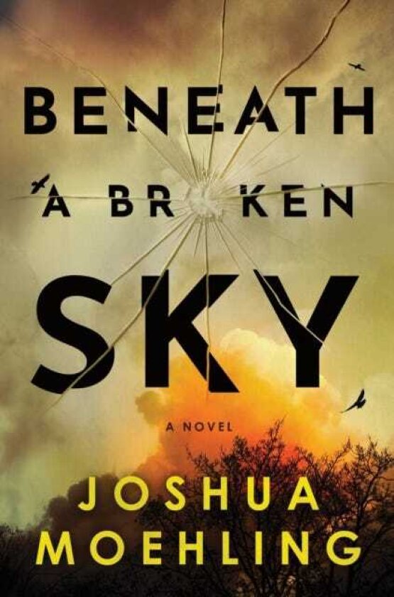 Beneath a Broken Sky A Novel