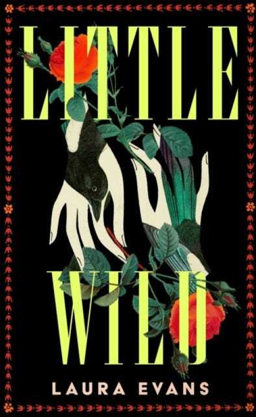 Little Wild