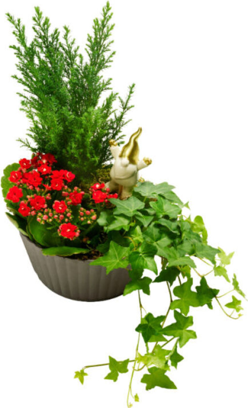 Julegruppe i Cellofan