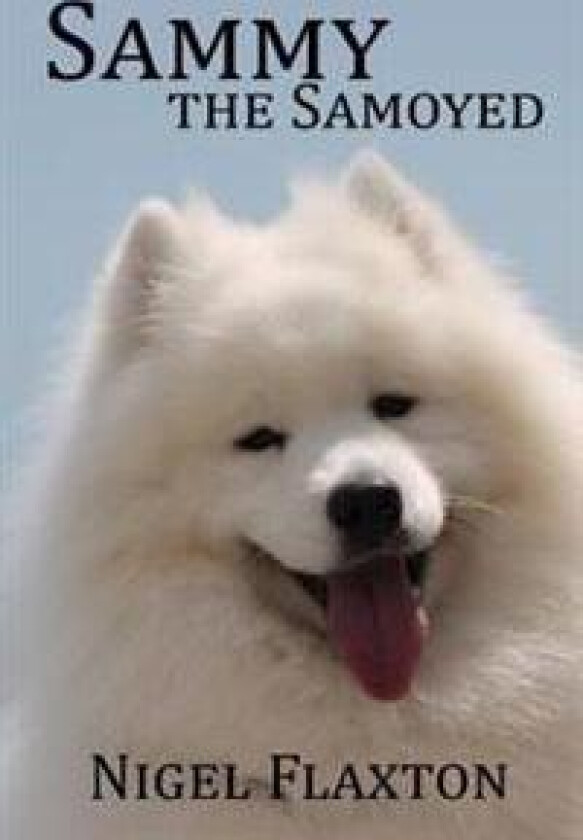 Sammy the Samoyed