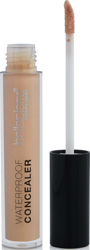 Waterproof Concealer Caramel