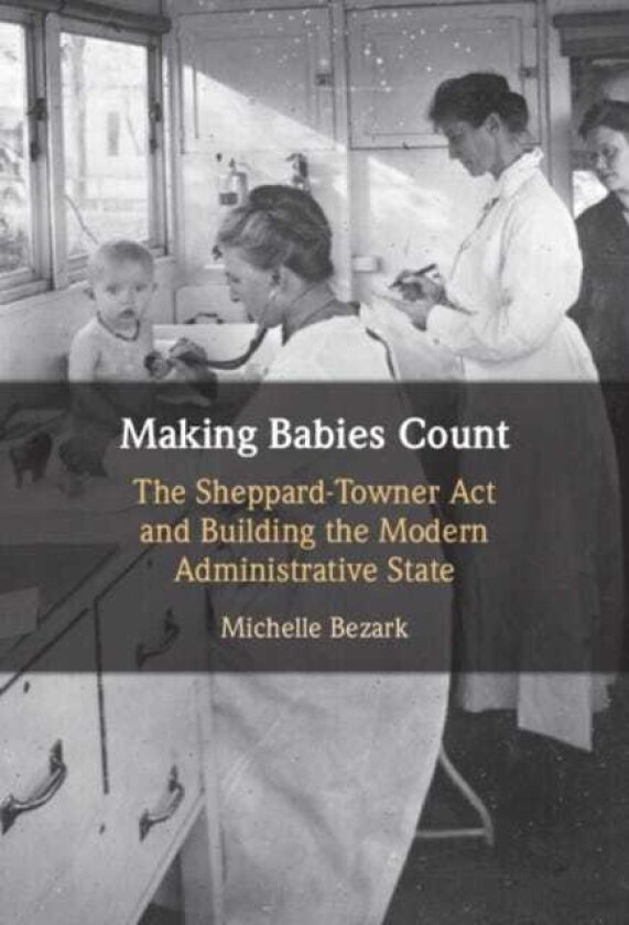 Making Babies Count The SheppardTowner Act and Building the Modern Administrative State