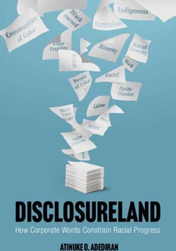 Disclosureland How Corporate Words Constrain Racial Progress