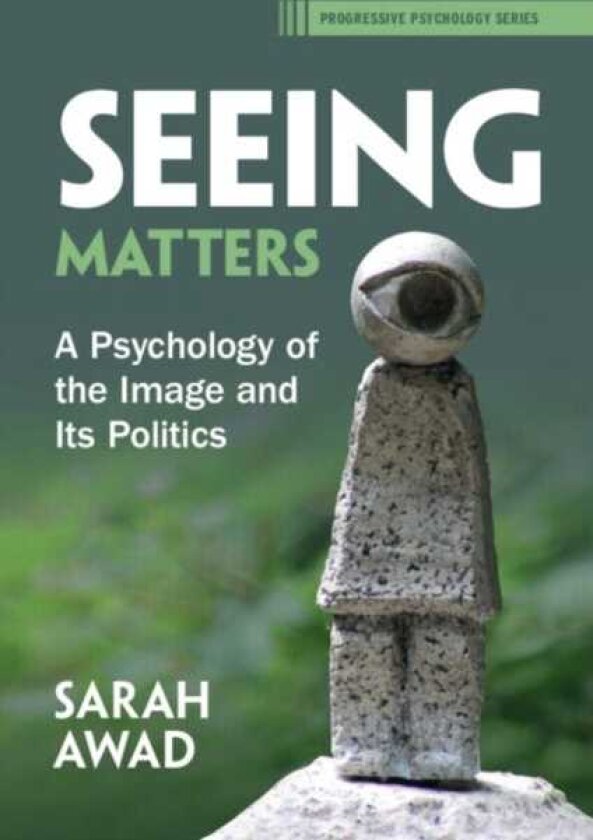 Seeing Matters A Psychology of the Image and Its Politics