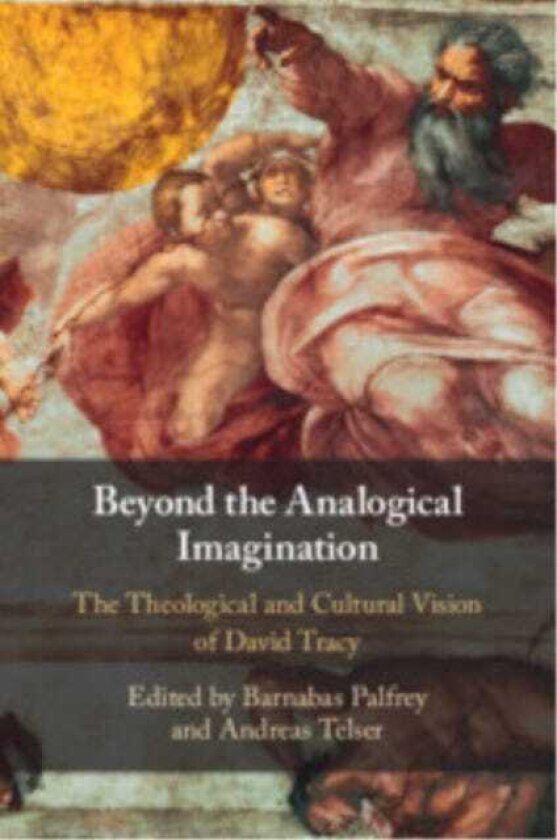 Beyond the Analogical Imagination The Theological and Cultural Vision of David Tracy