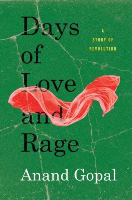 Days of Love and Rage A Story of Revolution