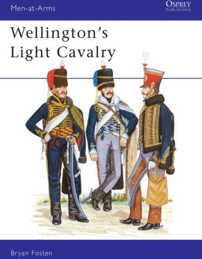 Wellington's Light Cavalry