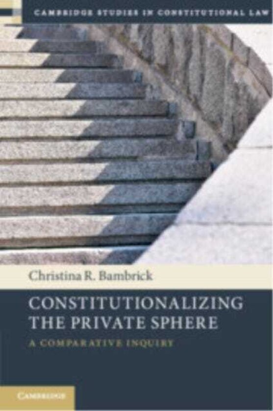 Constitutionalizing the Private Sphere A Comparative Inquiry