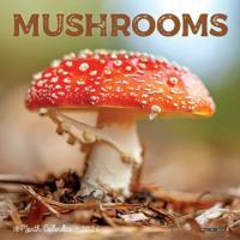 Mushrooms 2026 Mini Wall Calendar