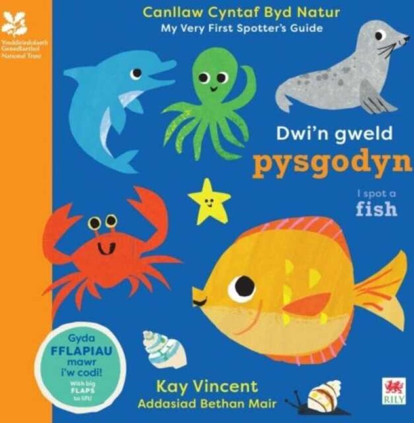 Dwi'n Gweld Pysgodyn / I Spot a Fish