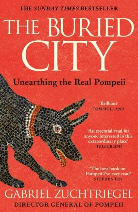The Buried City Unearthing the Real Pompeii the Instant Sunday Times Bestseller