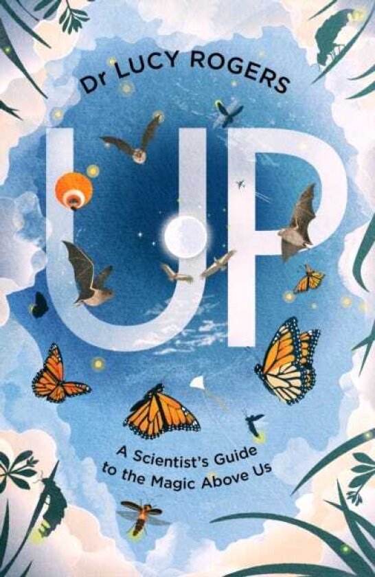 Up A scientist's guide to the magic above us