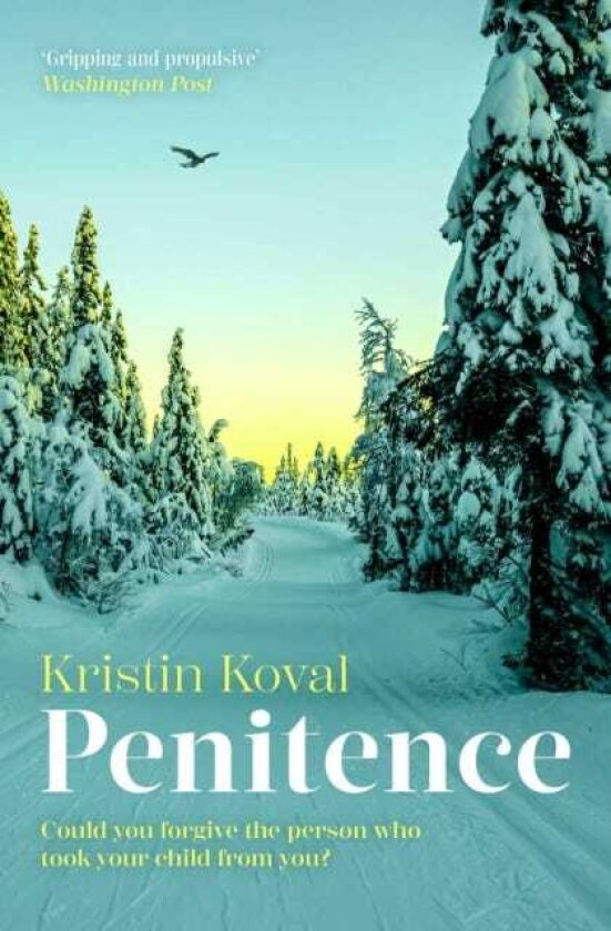 Penitence An unforgettable story of love, grief, guilt and forgiveness