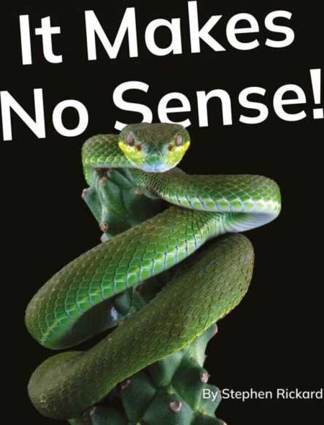 It Makes No Sense! Phonics Phase 5