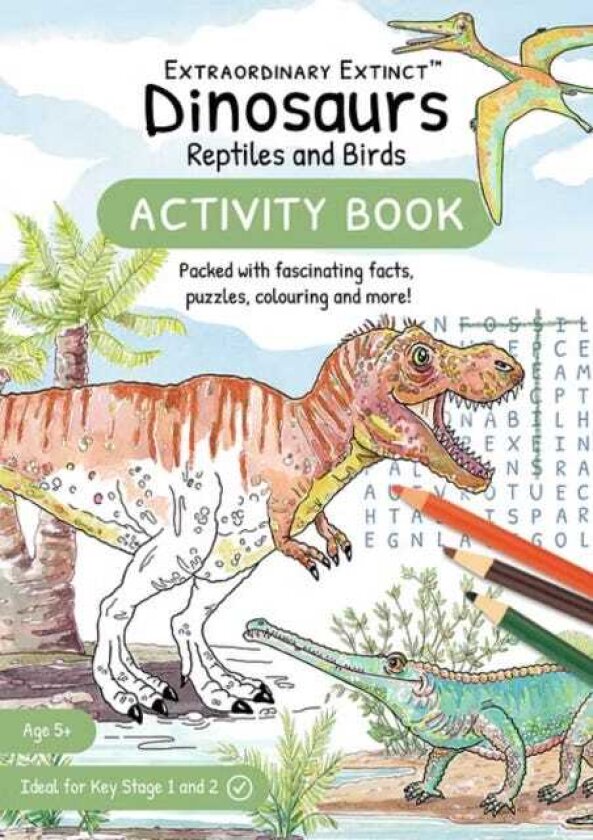 Dinosaurs Reptiles and Birds Activity Book