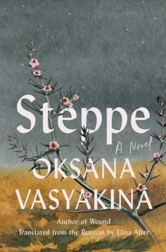 Steppe A Novel